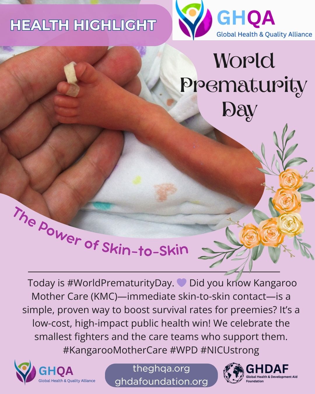 Health Highlights.zip - 11_17_25-insta