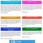 whatsapp-image-2025-09-22-at-08-40-47